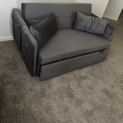 Loveseat Sleeper Sofa 