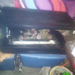 New 45 Gallon Reptile Tank/Accessories 