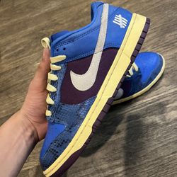 Nike Dunk x undefeated Size9.5