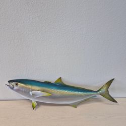 Amberjack Yellow Tail Fish Mount 