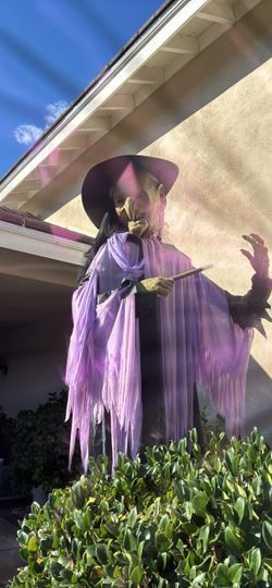 giant animated witch from Costco featured in viral 2023