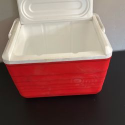 Mini Ice Chest 