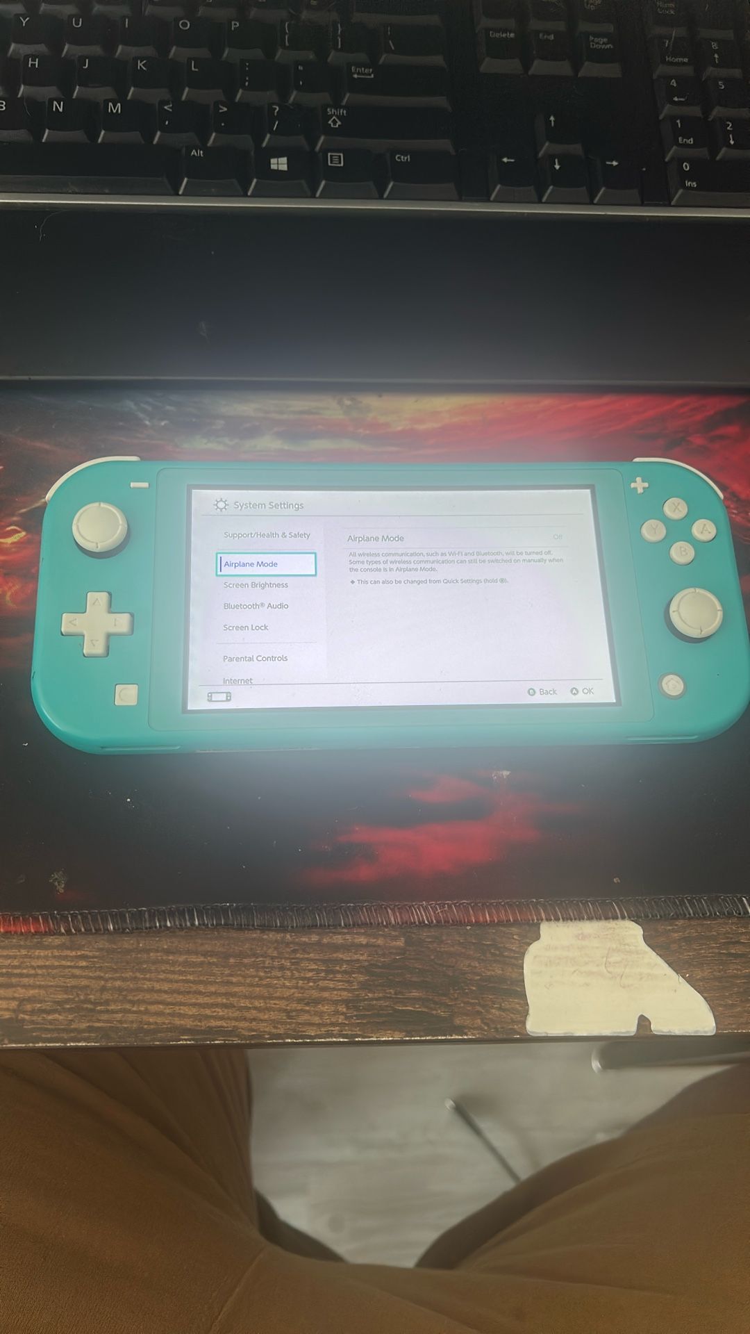 Nintendo Switch Lite