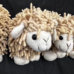 Six Soft And Cuddly Sheep From Amsterdam