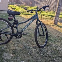 GIANT bike Jr size