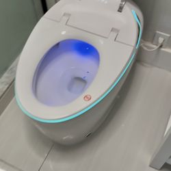 Smart Toilet. 