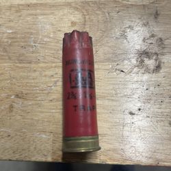 Winchester AA Empties