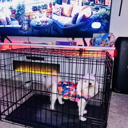 Dog Crate