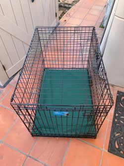 Xtra Large Wire Dog Crate With A Dog Bed