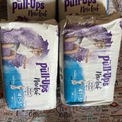 Pull Ups 4t-5t 14ct Bags 4- $20