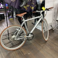 Electric Bike 