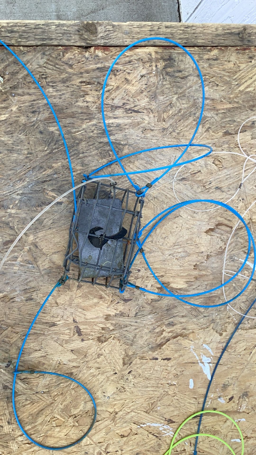 Crab Traps