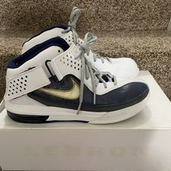 RARE Nike LeBron Soldier V - Akron Zips PE