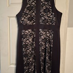 Beautiful Lace Panel Black Dress