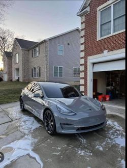 PET Nardo Gray Full Roll