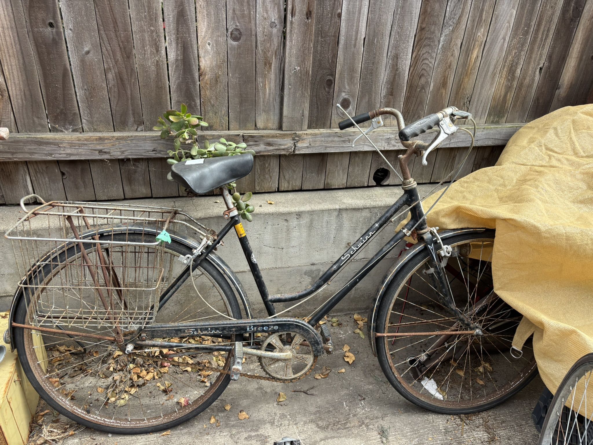 Bikes