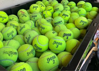 50 tennis balls in great condition