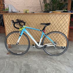 Giant (&Liv) Avail Bike
