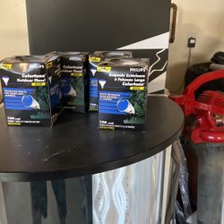 4 Blue Philips Color Tone Outdoor Flood Lights