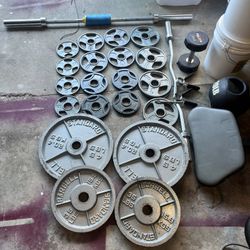 Bench Press And Weights 