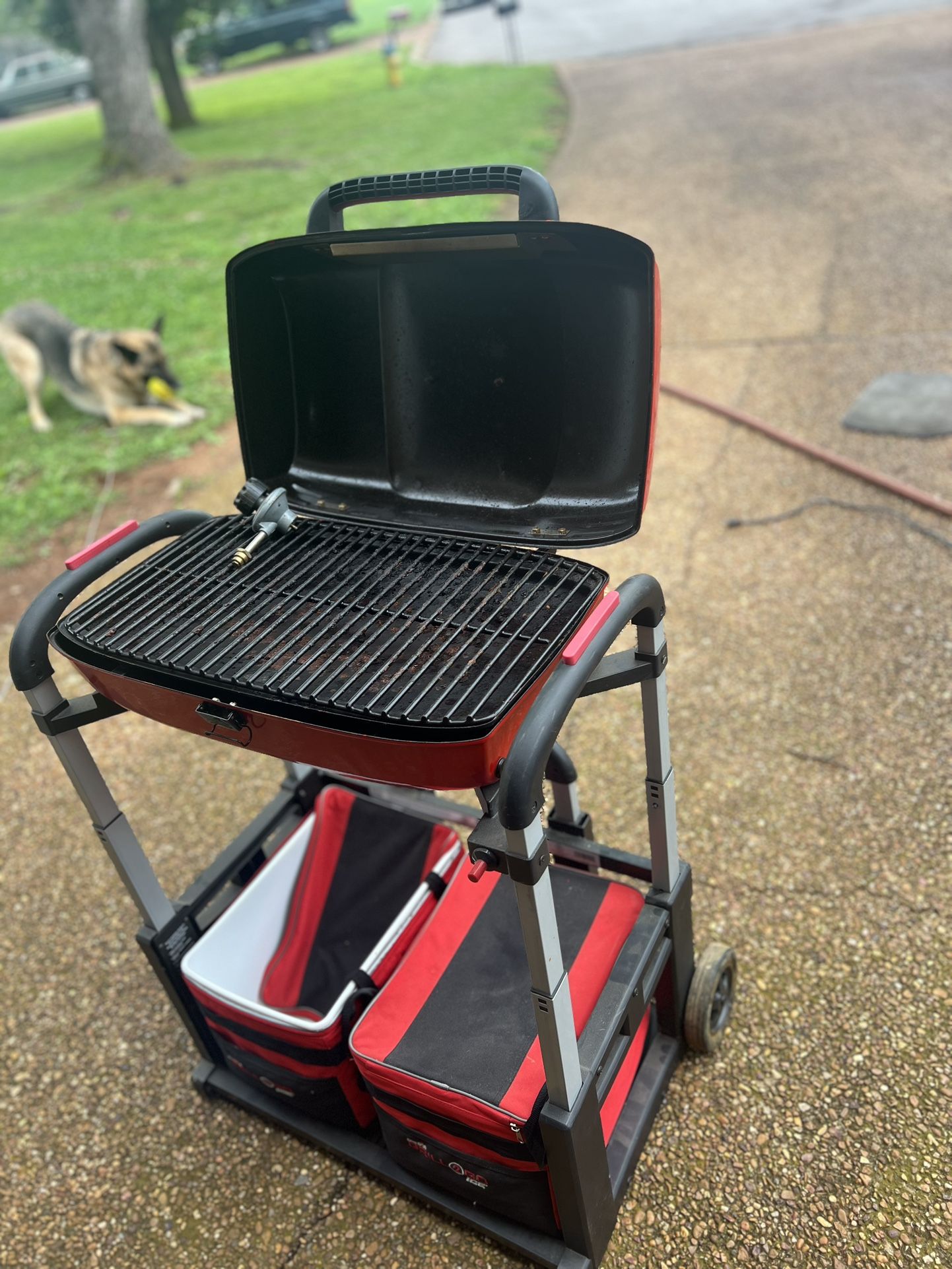 Char Broil 2 Go 