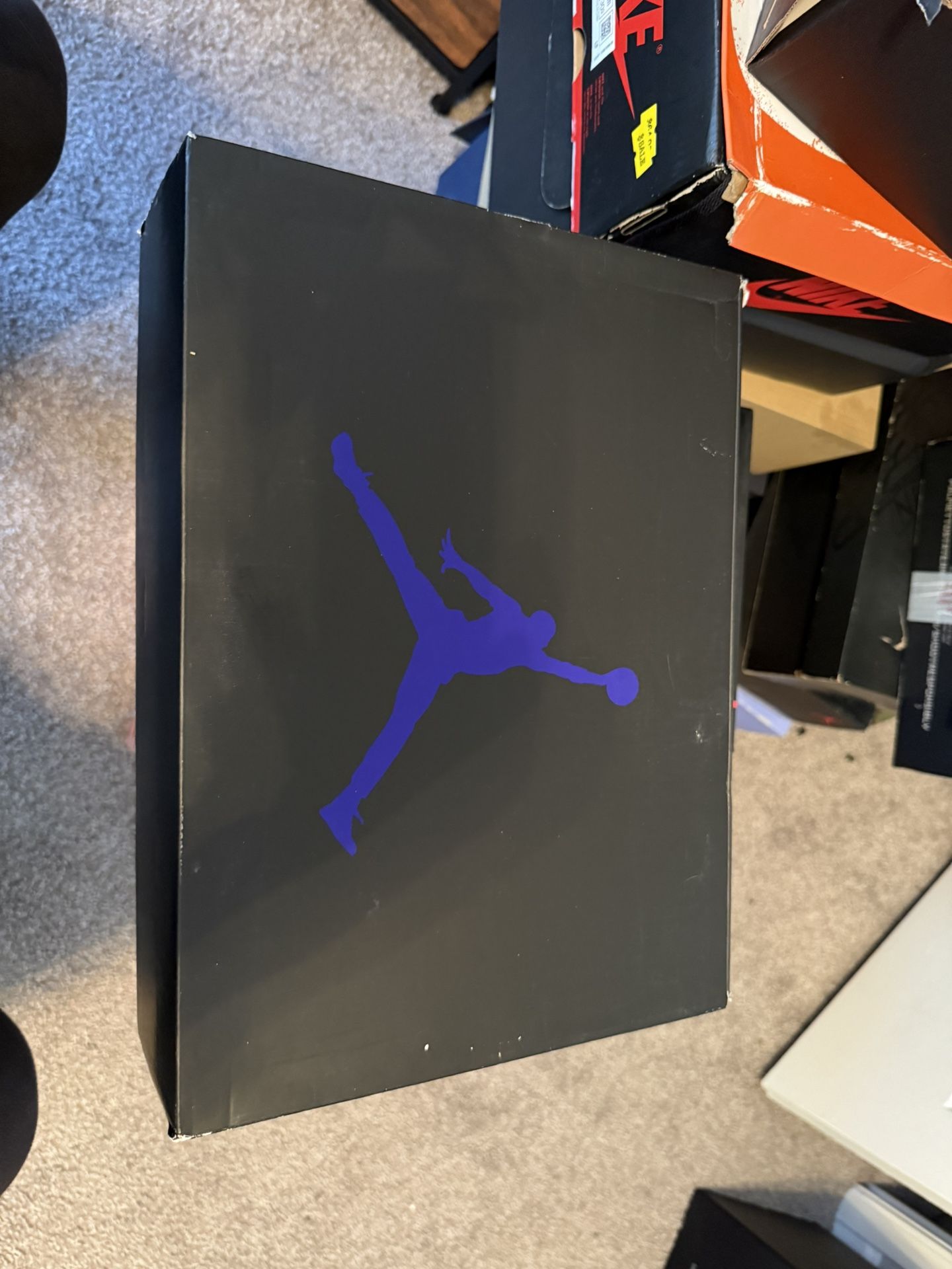 Jordan 5 Concord - Size 12