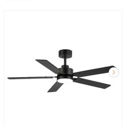 Black Indoor/outdoor Ceiling Fan