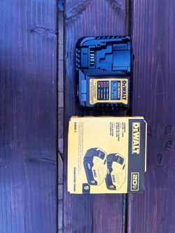 20V MAX Lithium-Ion 5.0Ah Battery (2-Pack)