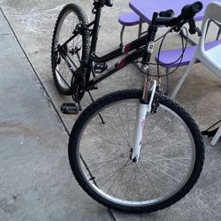 Bike $60