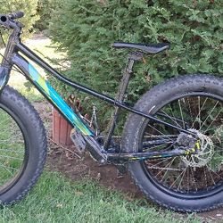 Kids Specialized Fat Tire Mountain Bike