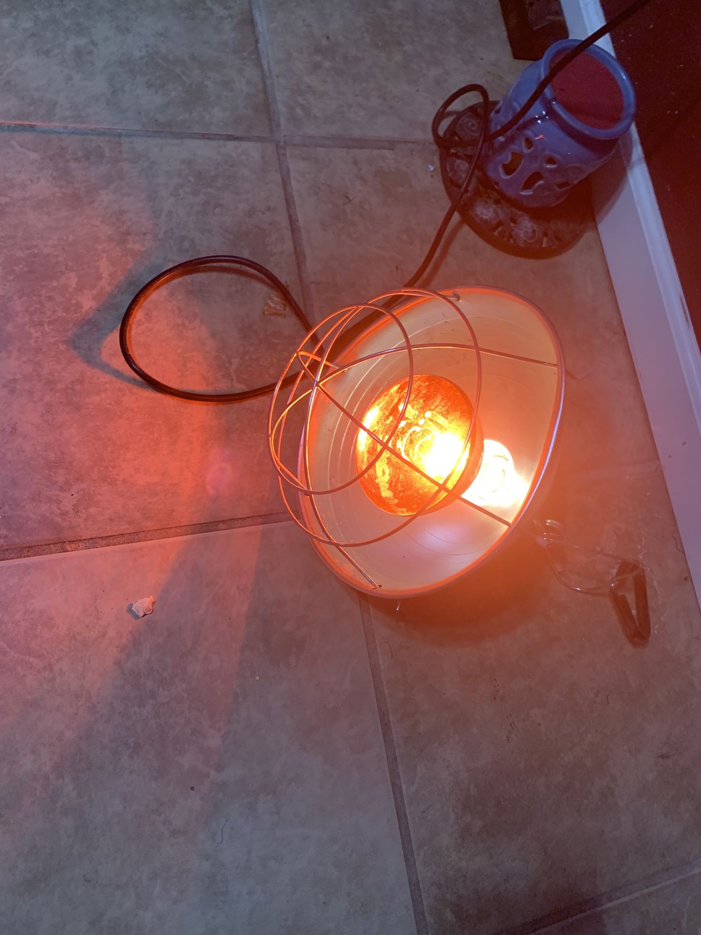Lamp. Half Ft Or Less