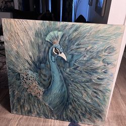 Peacock Pictures 