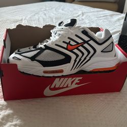 Nike Air Pegasus 2005