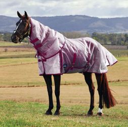 Weatherbeeta flysheet w/ neck 69