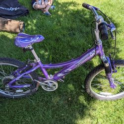 Girls Trek 80 Mountaineer Mtn Bike