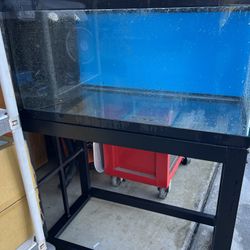 Aquarium Fish Tank 40 Gallon