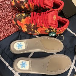 Nike dunk low poppy Wizard of the Oz edition size 10.5 brand new with box