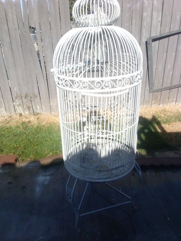 Bird Cage