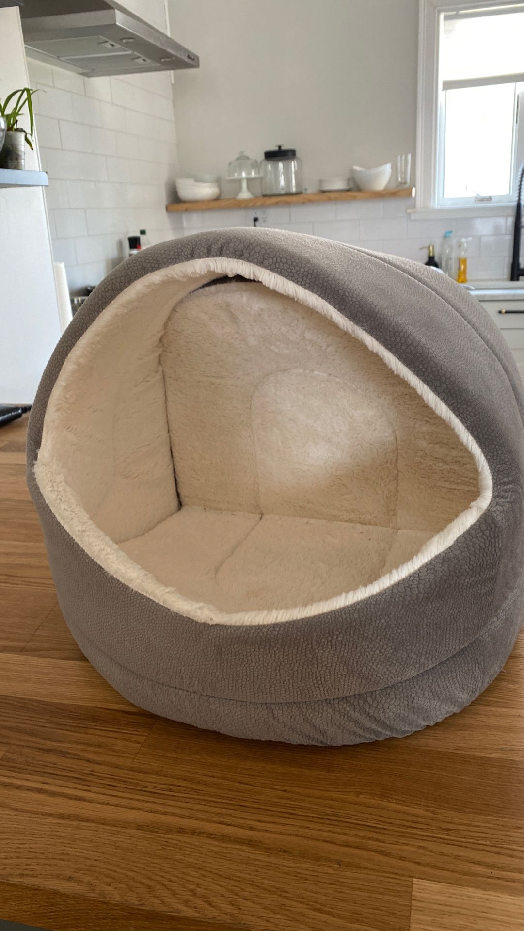 Cat bed