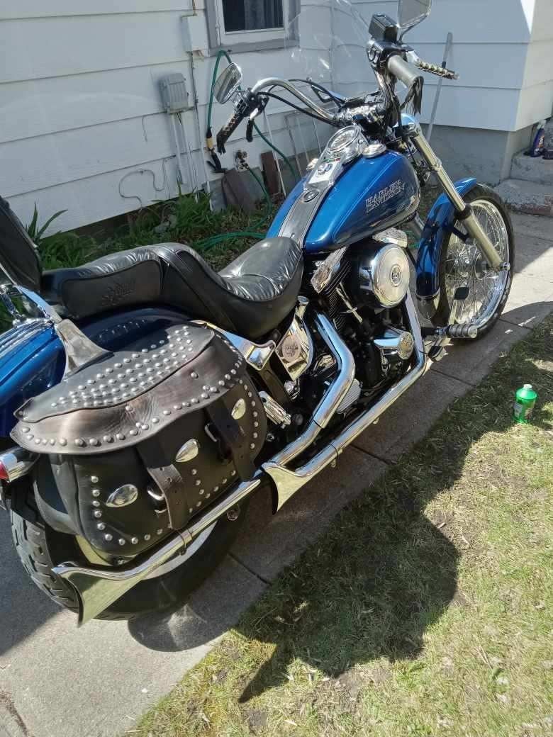 1992 Soft Tail Custom