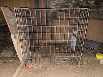 Chicken cage