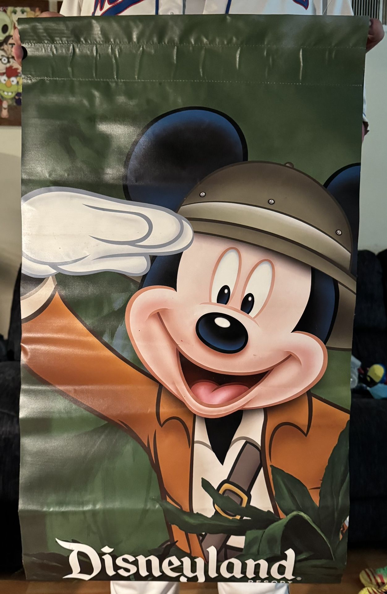 Disneyland Park Hung Banner