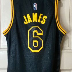 LEBRON LAKERS MAMBA JERSEY