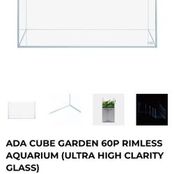 ADA 60p Aquarium