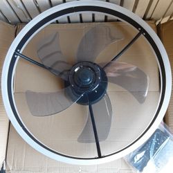 Ceiling Fan Whit Lights