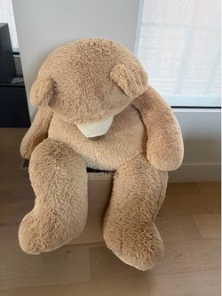 Teddy