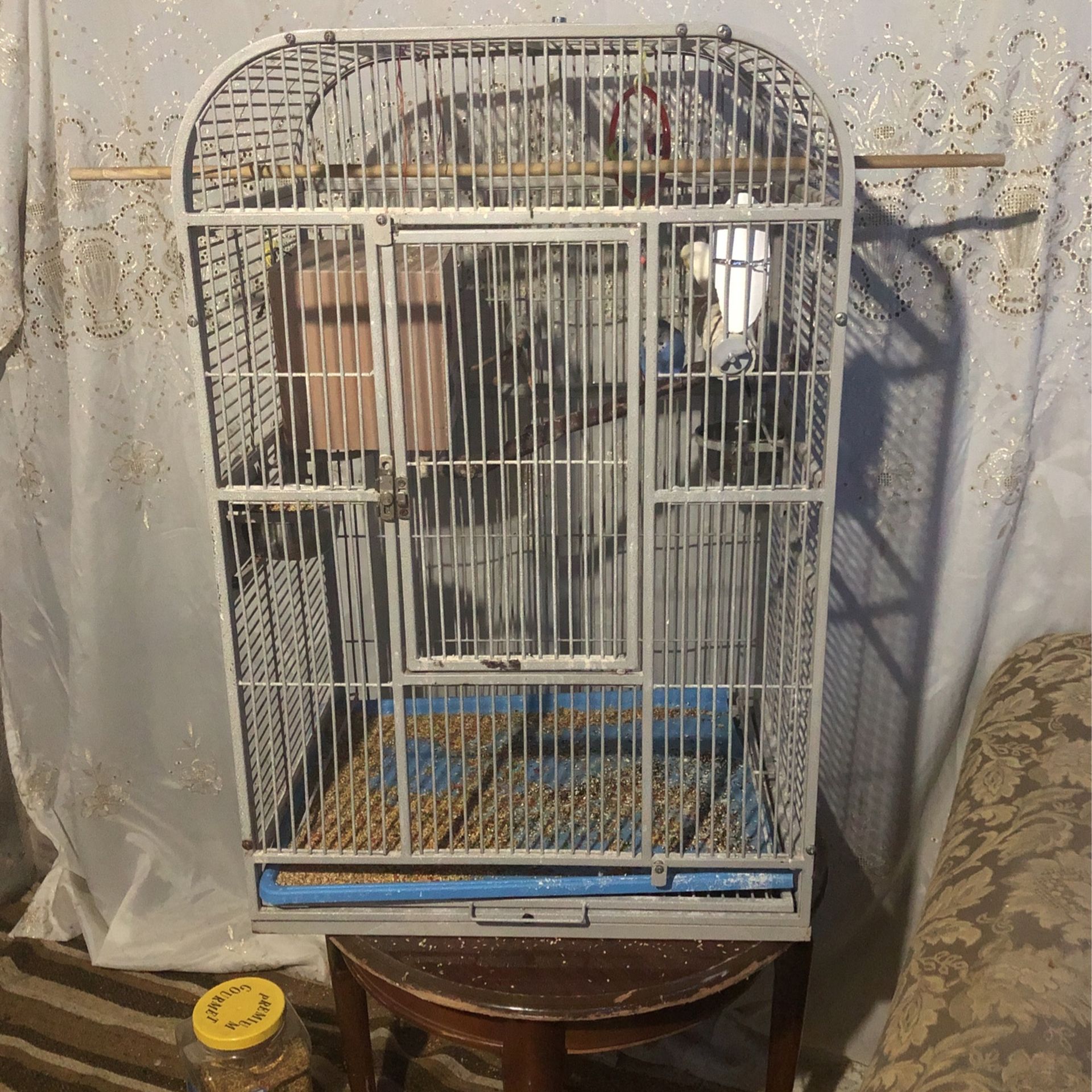 Bird Cage