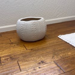 Beige/cream Pot/planter 