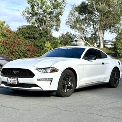 2019 Ford Mustang