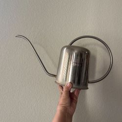 Stainless Still Watering Can 1.5 L